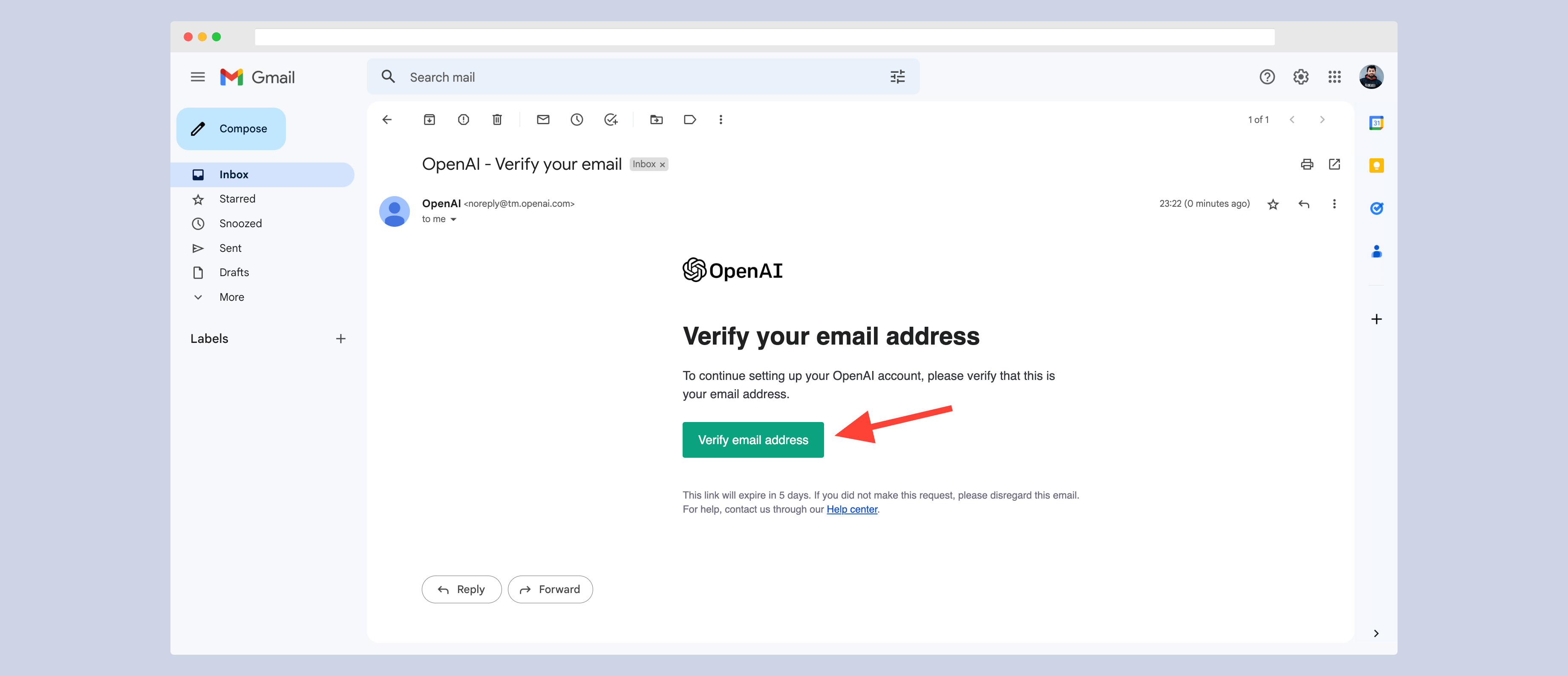 ChatGPT email verification